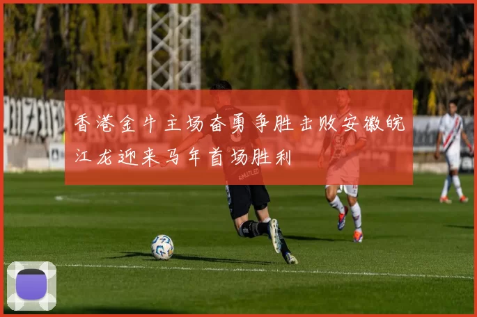 香港金牛主场奋勇争胜击败安徽皖江龙迎来马年首场胜利